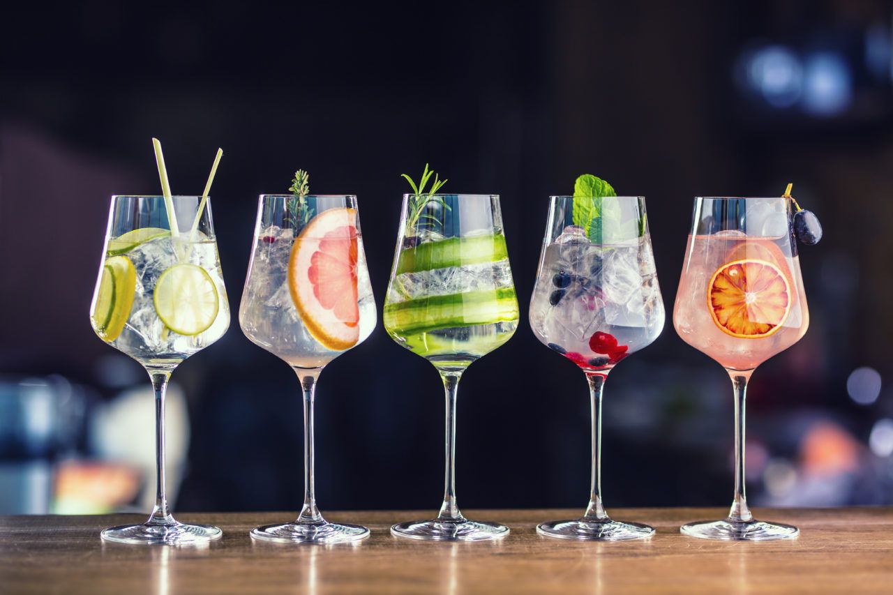 The Gin To My Tonic Festival