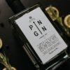 Pin Gin London Dry Lifestyle