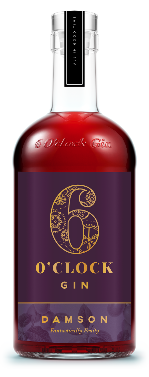 6gin Damson 70cl Front Web
