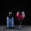 The Gin To My Tonic No.5 Blueberry Old Tom Gin with perfect serve and garnish on a black background