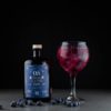 The Gin To My Tonic No.5 Blueberry Old Tom Gin with perfect serve and garnish on a black background