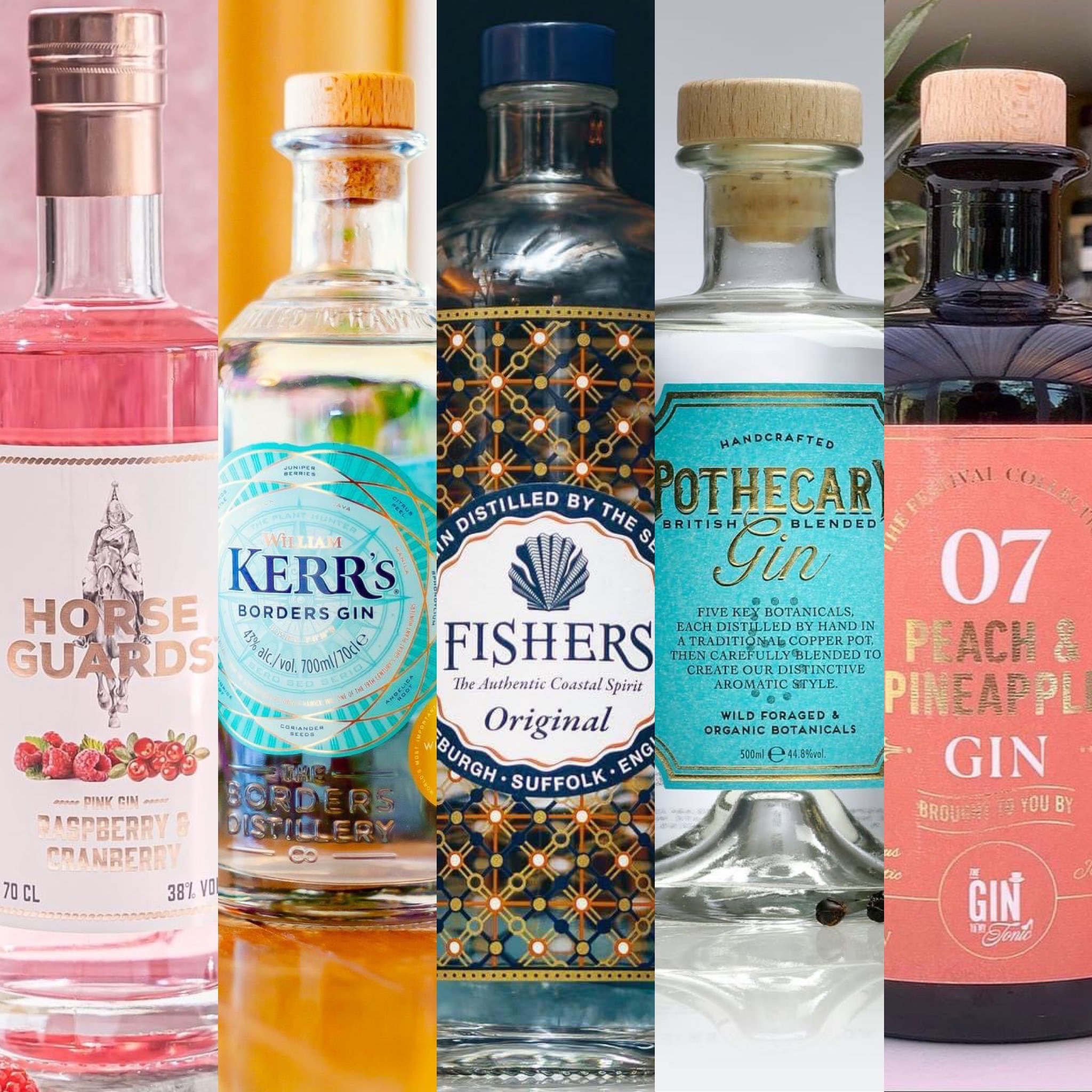 Gin To To Club The Tonic 2021 October | My Tonic My Gin The