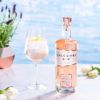 Salcombe Rose Gin Retouched Hr 8