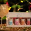 Fox’s Kiln Distillery Miniature Gin Gift Set with perfect serve