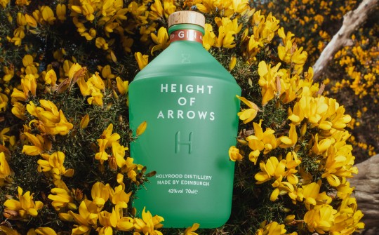 Height Of Arrows Gin